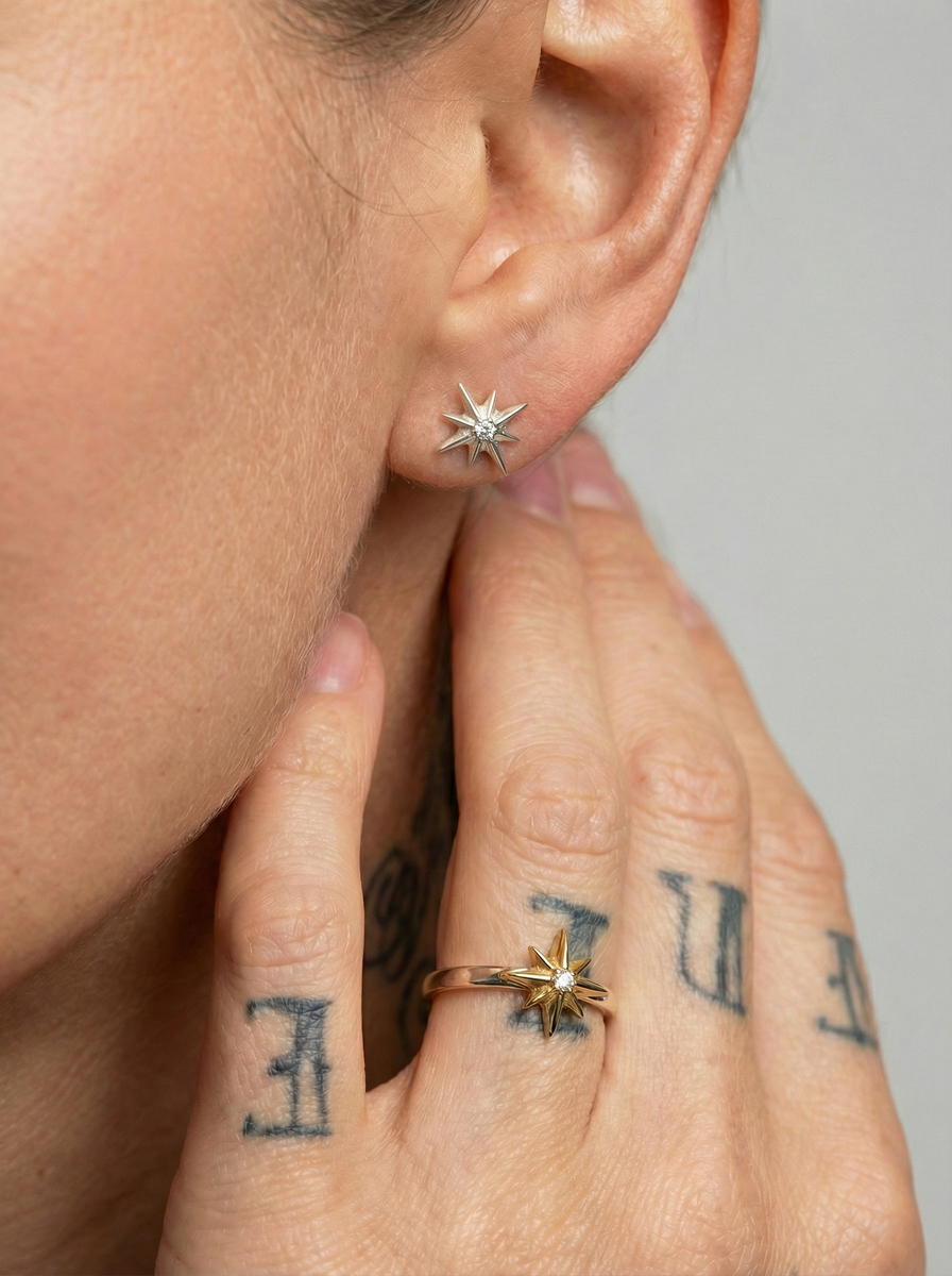 04-00-0794 Гвоздики Путеводная звезда (Ag 925)-2