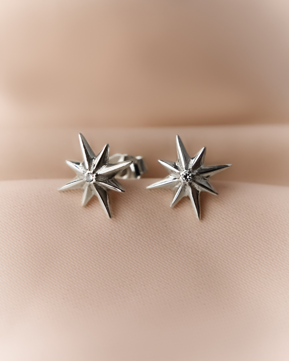 04-00-0794 Гвоздики Путеводная звезда (Ag 925)-3