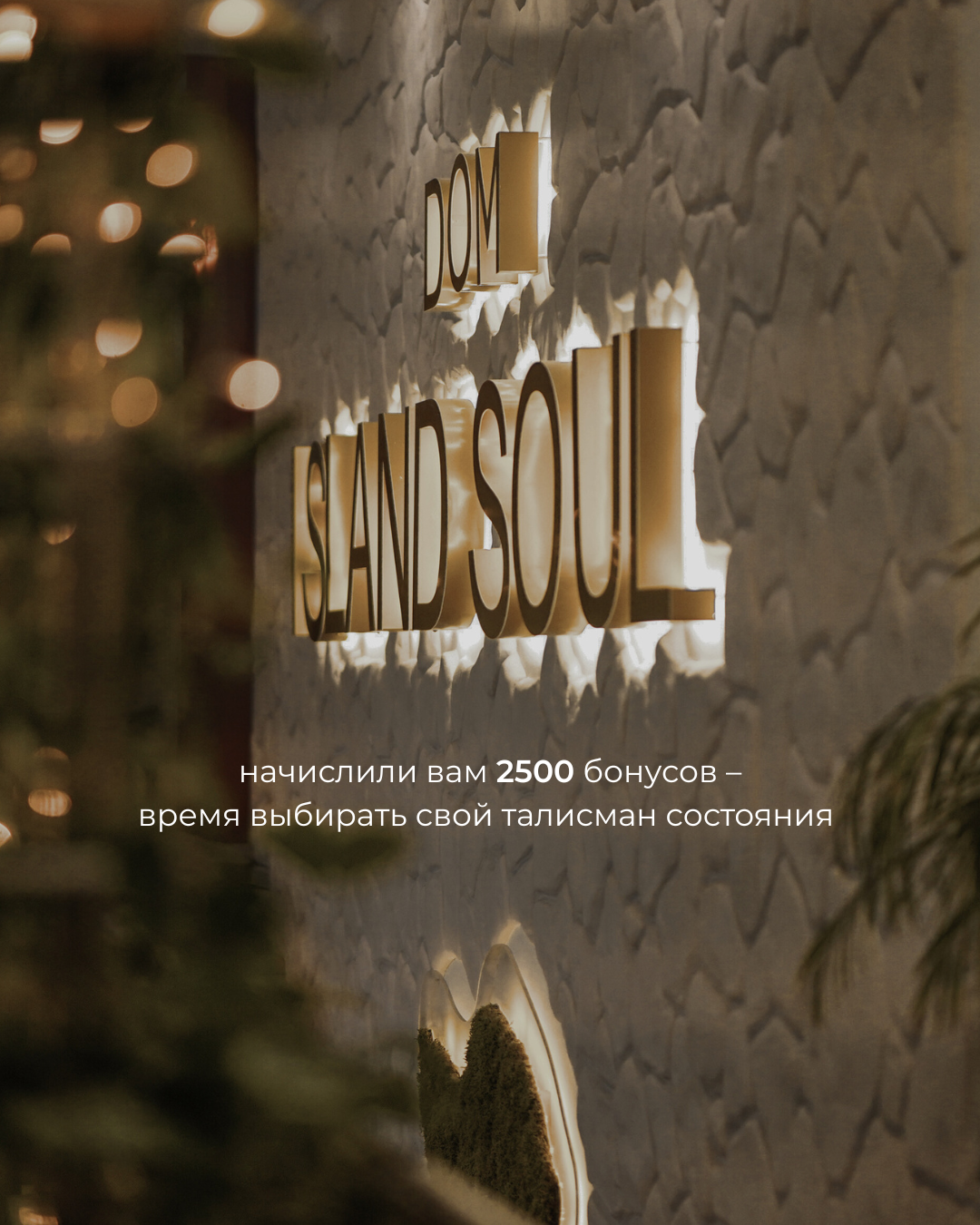 Акции ISLAND SOUL