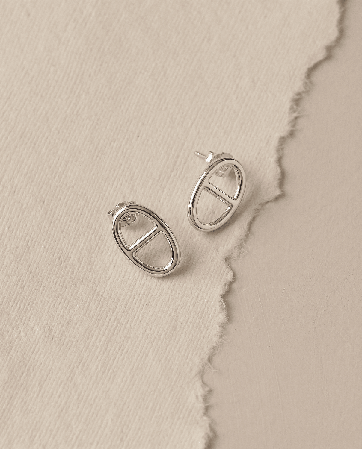 04-00-0349 Гвоздики ЭНСО (Ag 925)-3