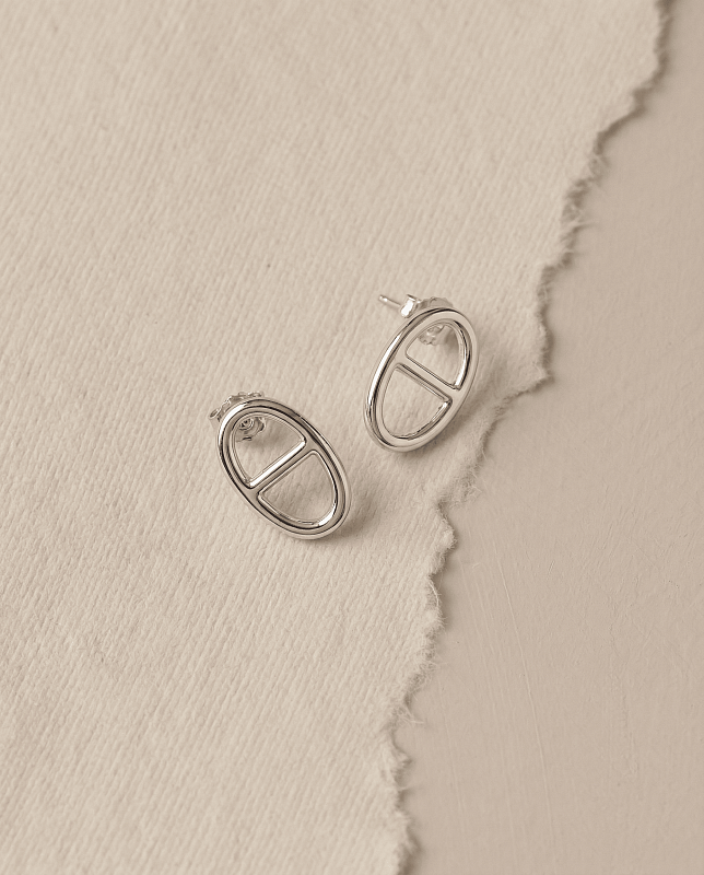 04-00-0349 Гвоздики ЭНСО (Ag 925)