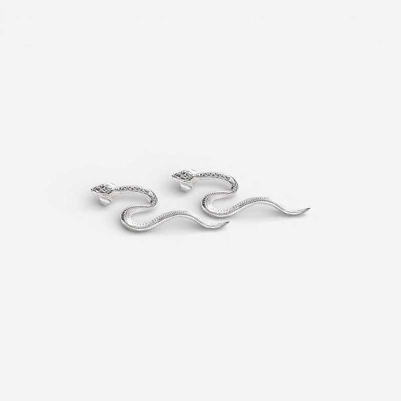 04-00-0753 Гвоздики "Змеи" (Ag 925)