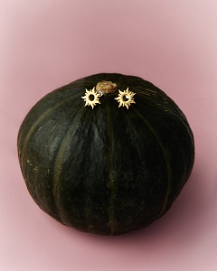 04-00-0798 Гвоздики Солнце в позолоте (Ag 925)-2