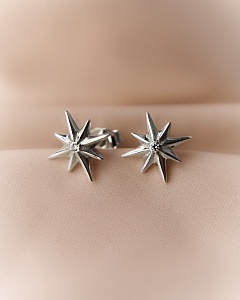 04-00-0794 Гвоздики Путеводная звезда (Ag 925)-3