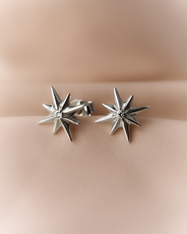 04-00-0794 Гвоздики Путеводная звезда (Ag 925)