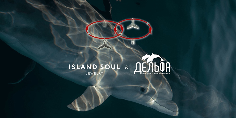 Наше сотрудничество с «Дельфа» — шаг на пути к сотрудничеству с миром