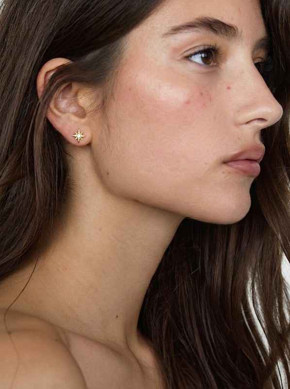 04-00-0795 Гвоздики Путеводная звезда в позолоте (Ag 925)