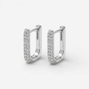 04-00-0757 Серьги Shine (Ag 925)-1