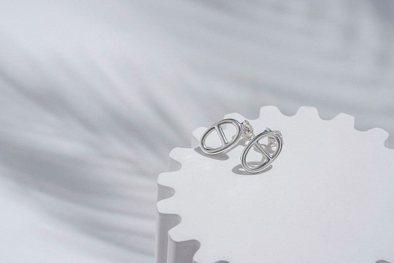 04-00-0349 Гвоздики ЭНСО (Ag 925)