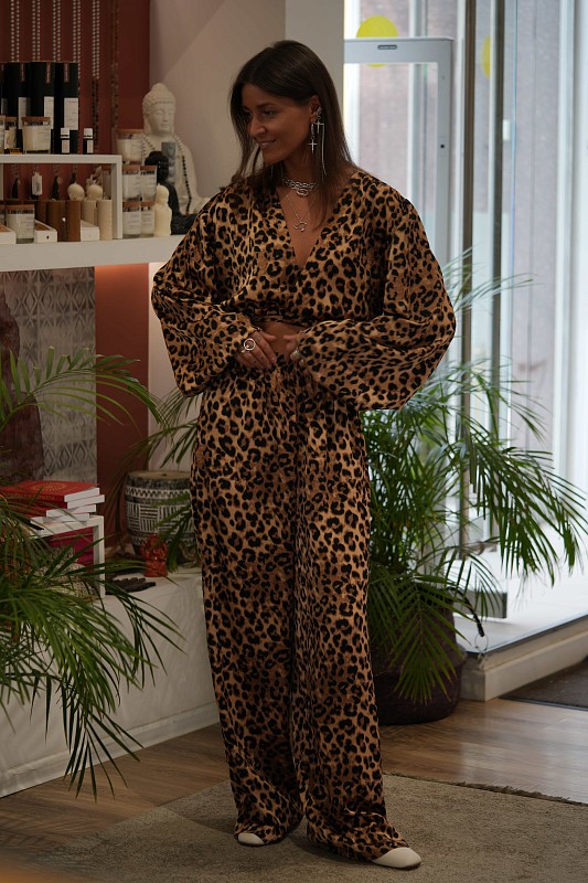 31-00-0044 Костюм Лео с брюками